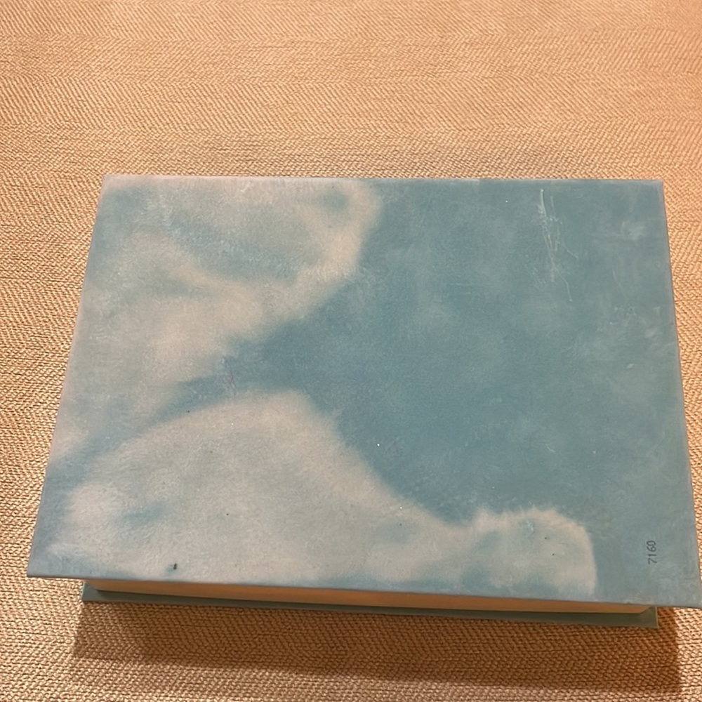 Gorgeous Miu Miu Velvet Empty Box - image 4